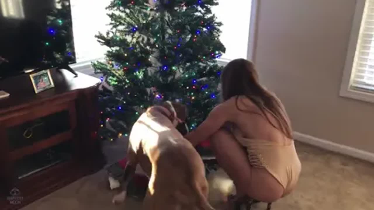 Banshee Moon Xmas Swimsuit Leaked Onlyfans Porn Video